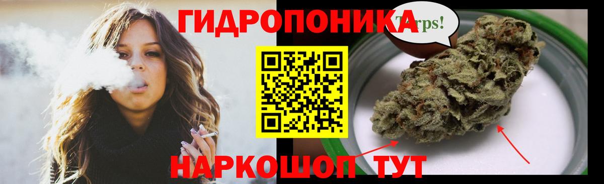 Бошки марихуана семена  Каннабис конопля  Магнитогорск  Вход с VPN  Марихуана THC 21% 